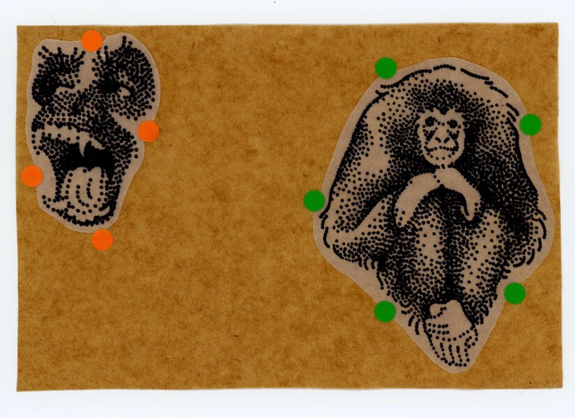 Monkey